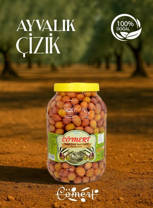 Doğal Yeşil Çizik Zeytin 1.5 Kğ (2025-2026)