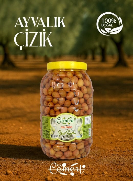 Doğal Yeşil Çizik Zeytin 2.5 Kğ (2025-2026)