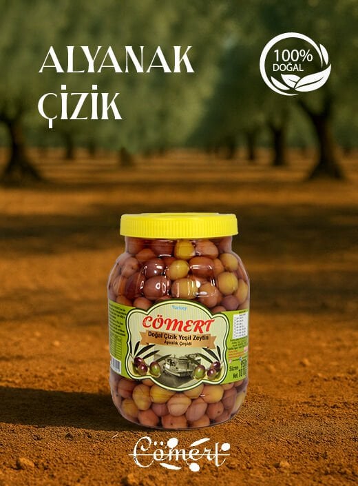 Doğal Alyanak Yeşil Zeytin 1 Kğ
