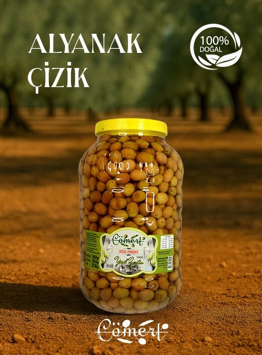 Doğal Alyanak Yeşil Zeytin 2.5 Kğ