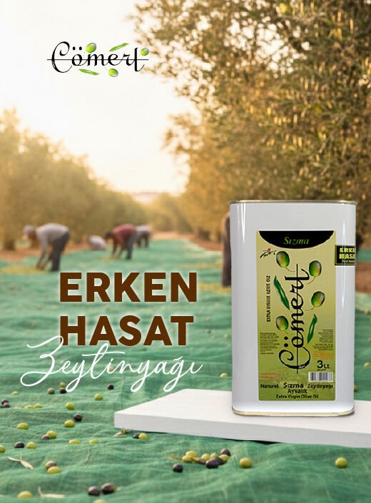 Erken Hasat 3 Lt Teneke 2025-2026 (FİLİTRESİZ)