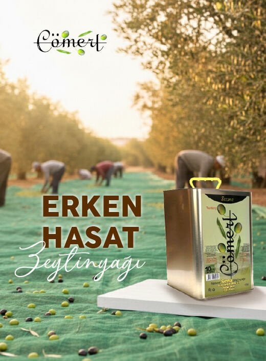 Erken Hasat 10 Lt Teneke 2025-2026 (FİLİTRESİZ)